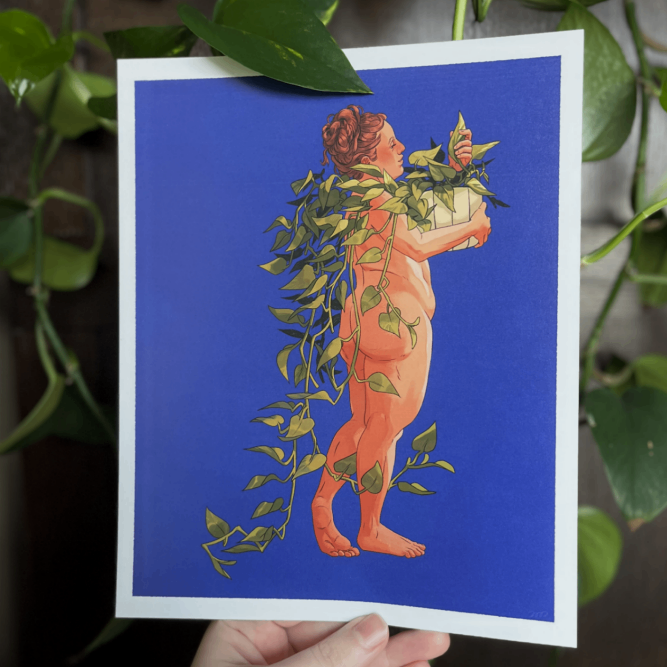 Pothos Lover