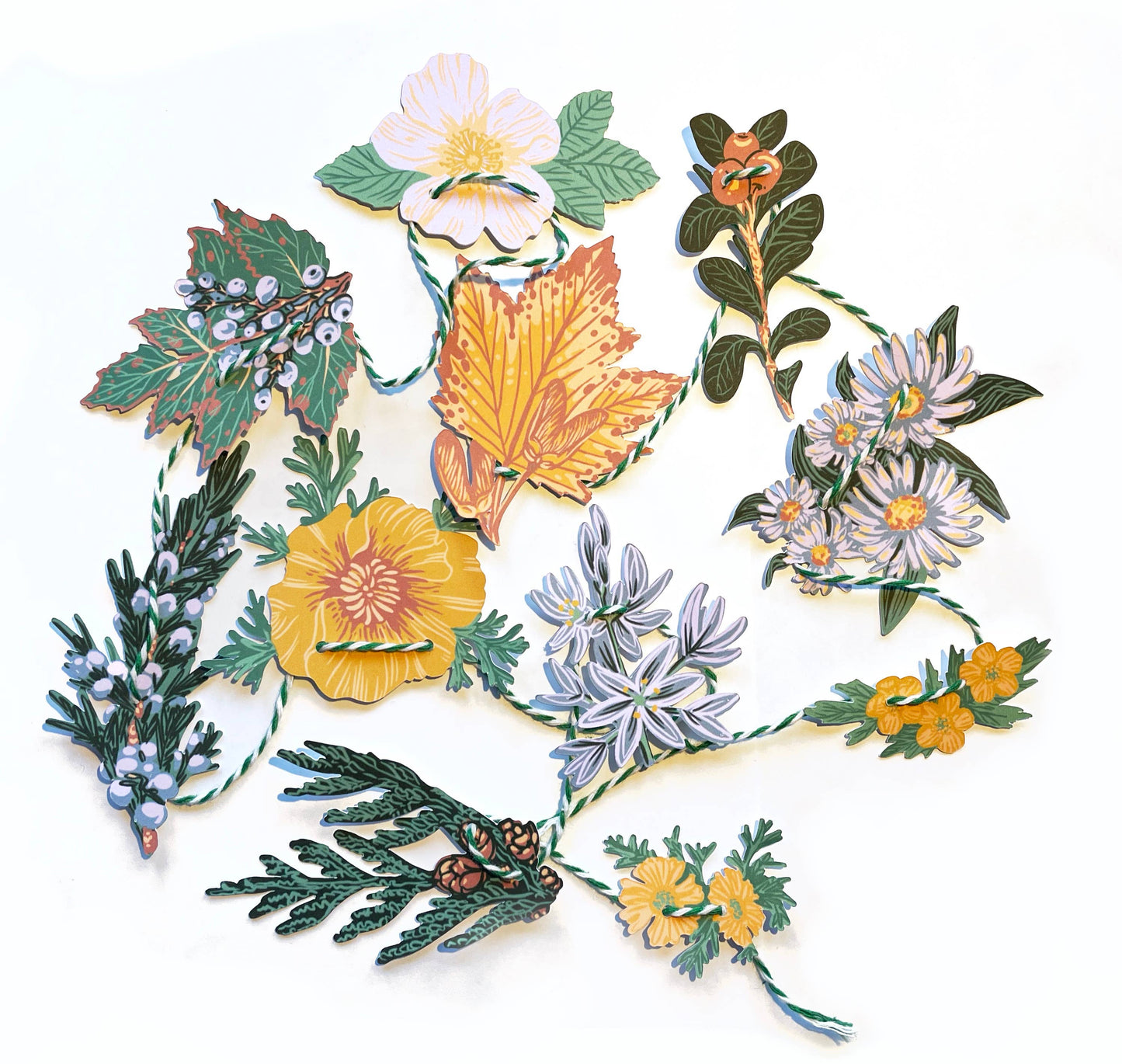 Pacific Northwest Native Plants Mini Paper Garland