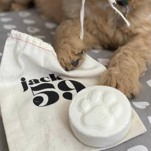 Lavender Dog Shampoo