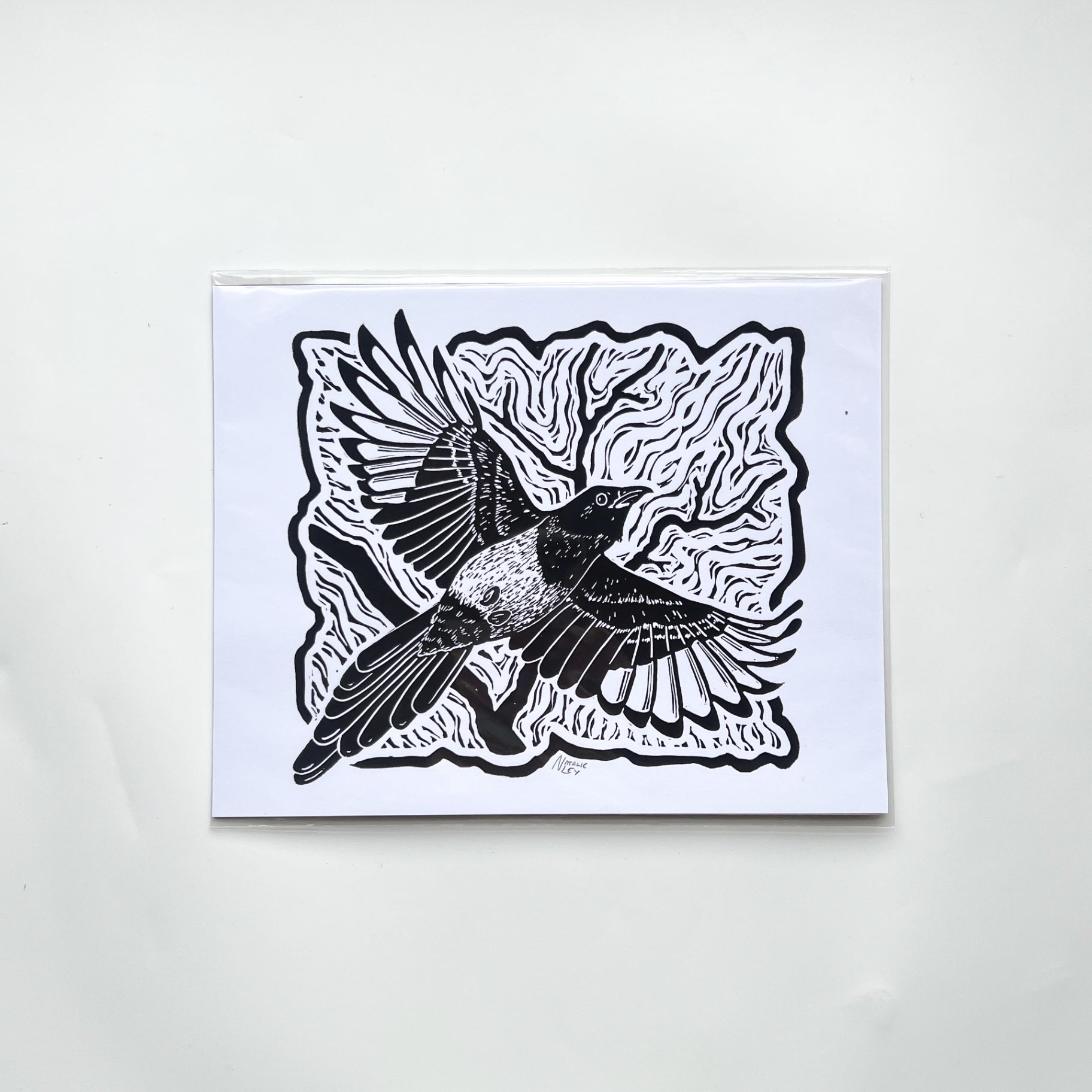 "Magpie" 8 x 10 Blcak on White 