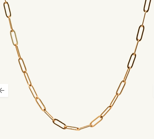 Mazzi Link Gold Chain