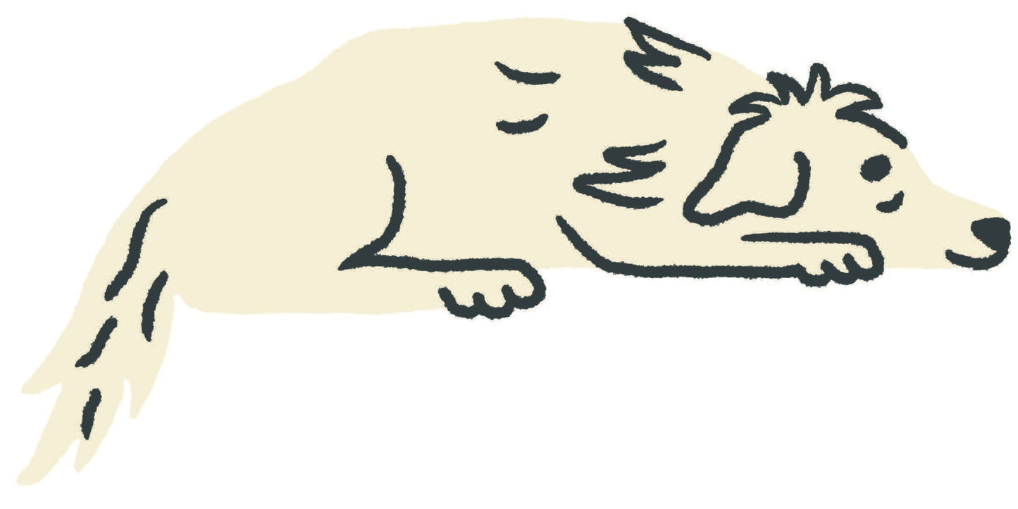 Dog Sticker