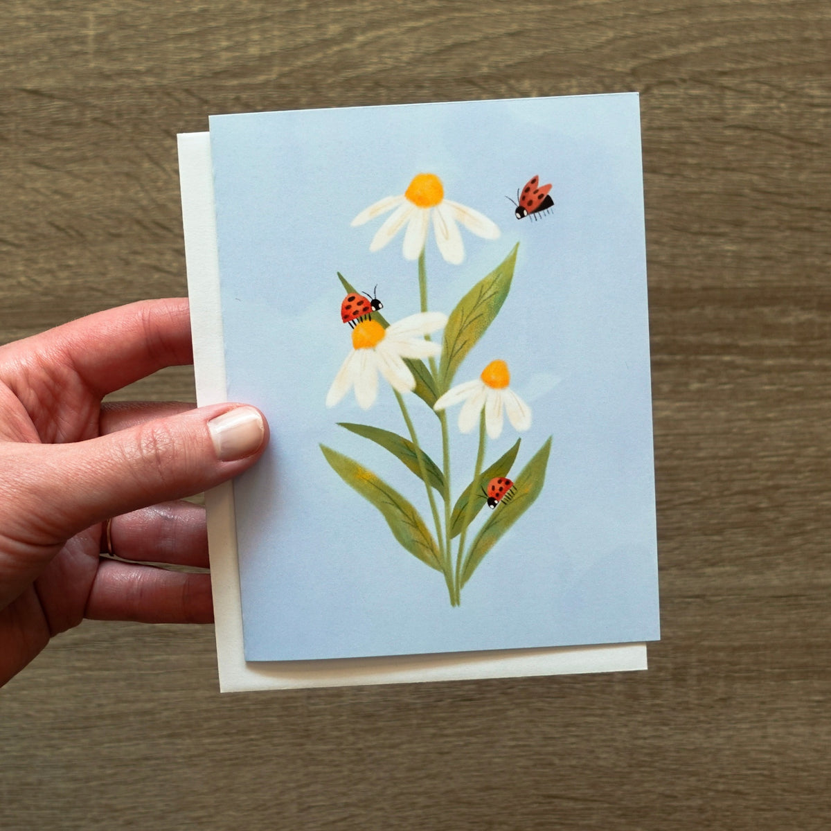 Daisies and Ladybugs Card