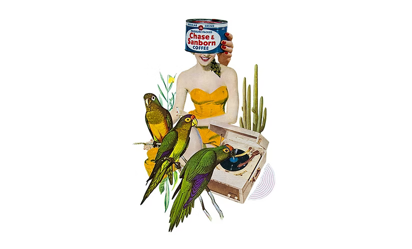“Bird Is The Word” Vintage Collage Print
