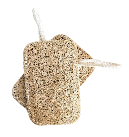 Loofah Sponge