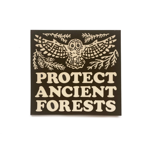 Protect Ancient Forests Sticker